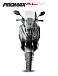 МаксиСкутер PROMAX-HONDA ADV 150 (49) EFI (Inspired by HONDA) в Ногинске