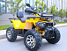Квадроцикл MOTOLAND (МОТОЛЕНД) VOX200 WILD TRACK X PRO (баланс. вал) в Ногинске