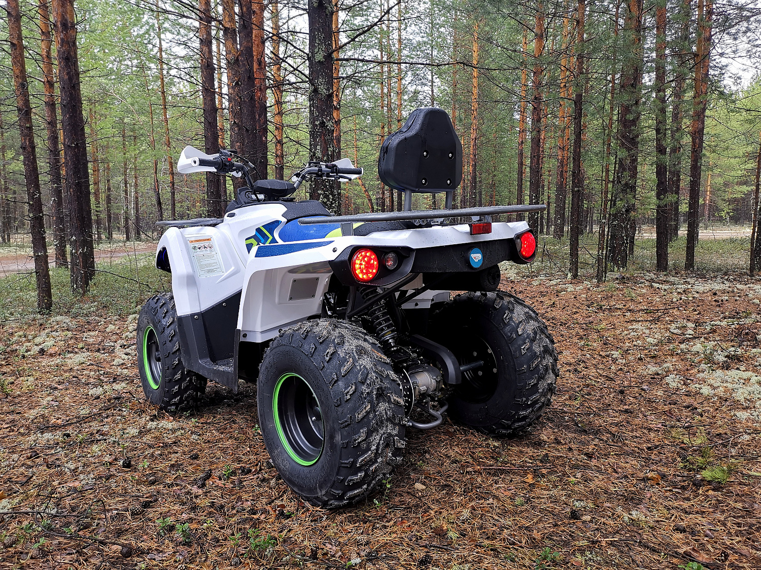 Квадроцикл PROMAX RENEGADE 280 (2025) в Ногинске