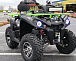 Квадроцикл PROMAX RENEGADE 280 WINCH PRO (2025) в Ногинске