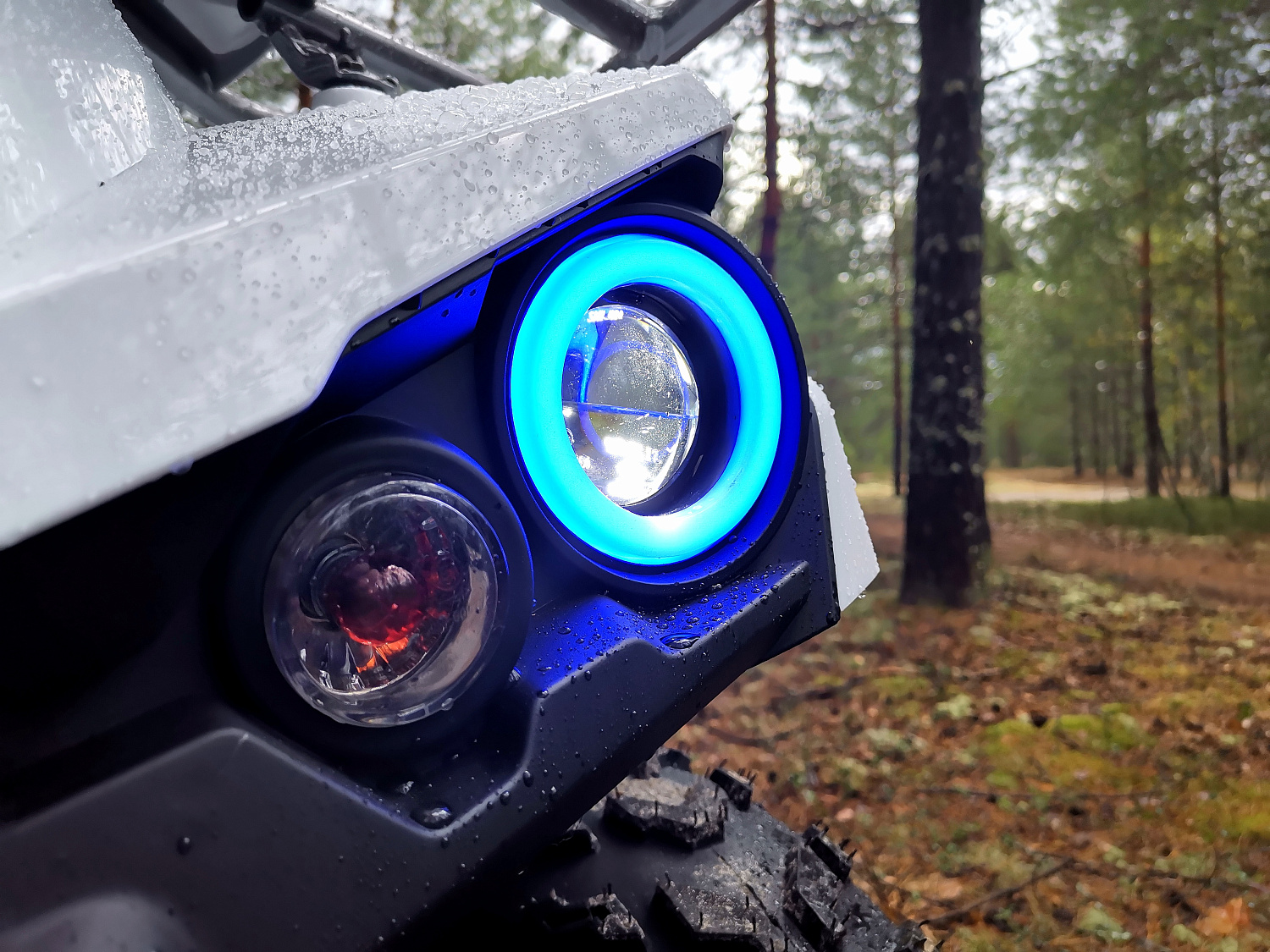 Квадроцикл PROMAX RENEGADE 280 (2025) в Ногинске