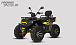 Квадроцикл PROMAX TAURUS 300 MAX-PRO LONG в Ногинске